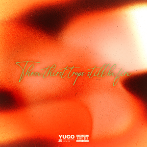 肛门犯罪电影在线观看
