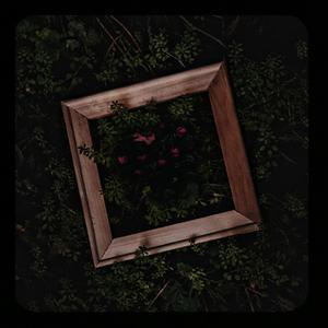 肛门犯罪电影在线观看
