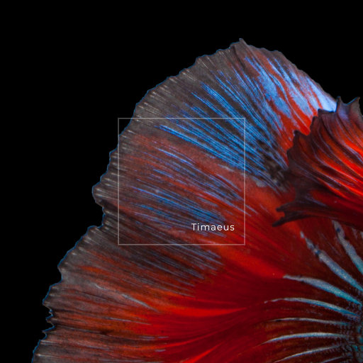 肛门犯罪电影在线观看
